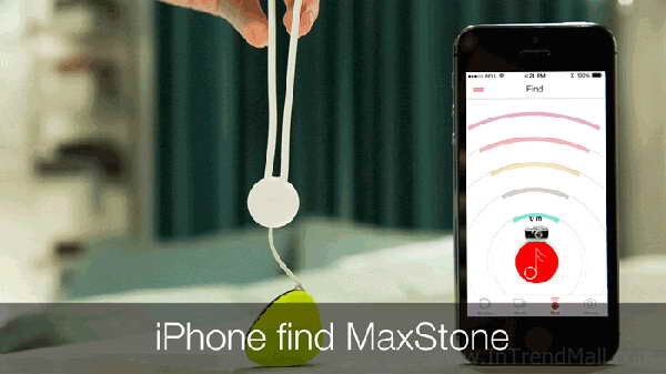 maxstone-3