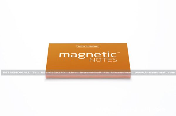 Magnetic19