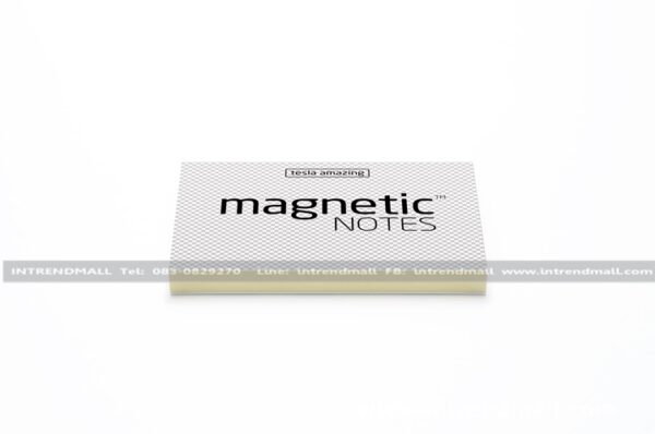 Magnetic21